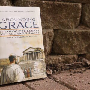 Abounding Grace Book